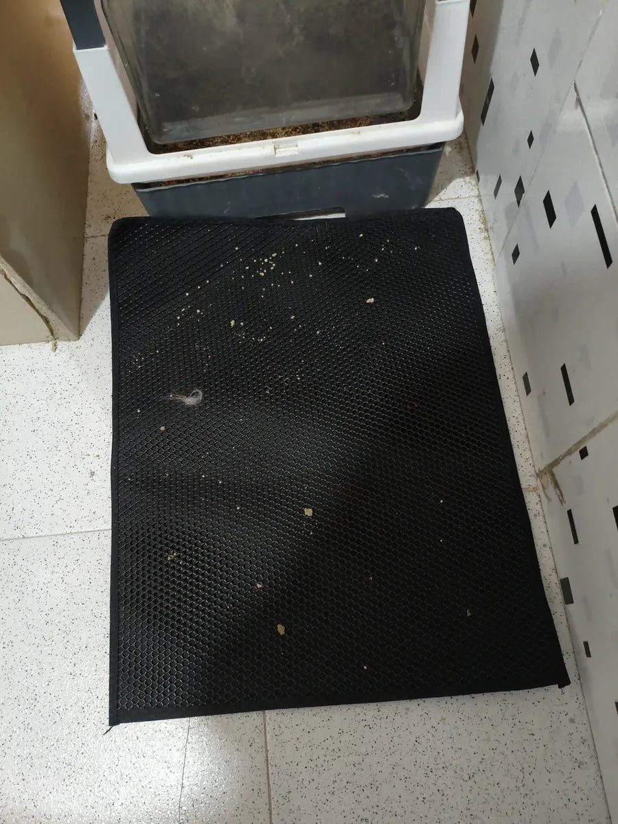CatClean frente a arenero - foto de cliente 9
