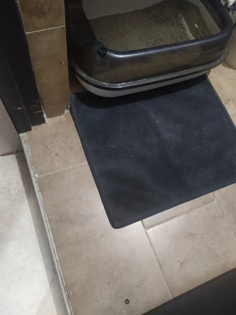 CatClean frente a arenero - foto de cliente 10
