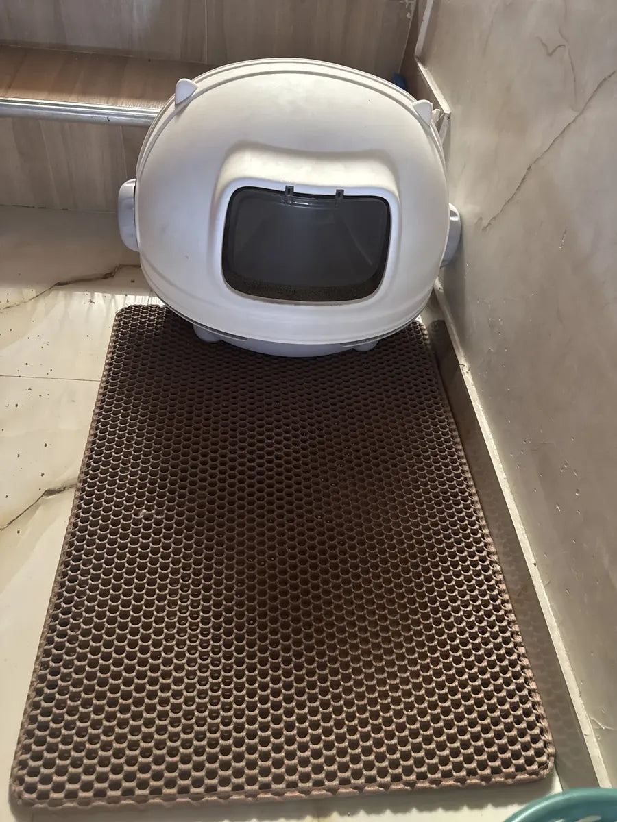 CatClean frente a arenero - foto de cliente 2