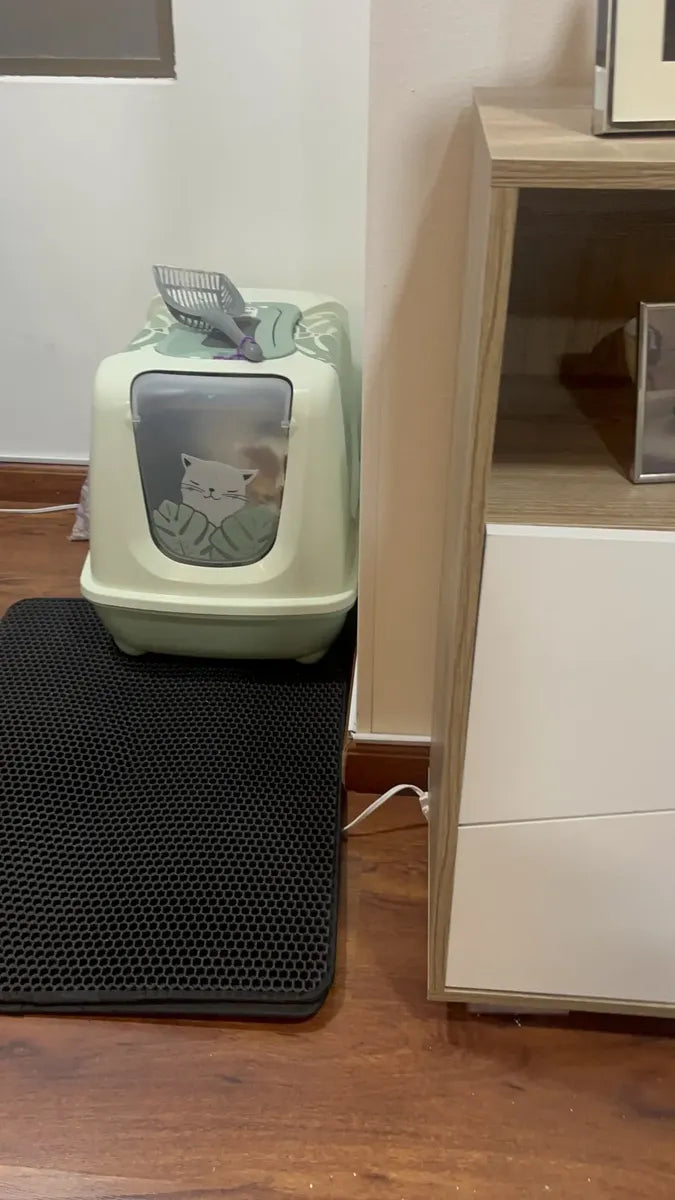 CatClean frente a arenero - foto de cliente 5